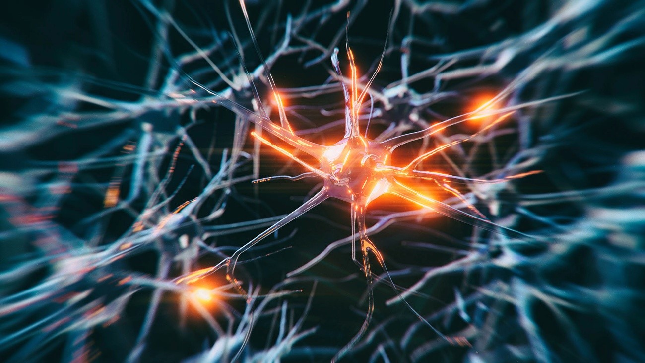 24 DE MAYO: DÍA NACIONAL DE LA EPILEPSIA